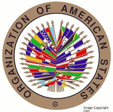 OAS Online Scholarship Opportunities