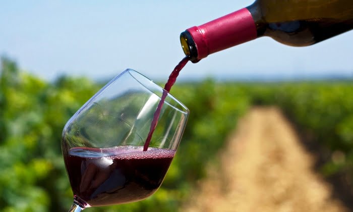 Raise a toast to a wine-tasting career in India
