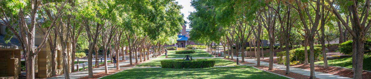 A STUDENT PERSPECTIVE ON DISTANCE LEARNING
